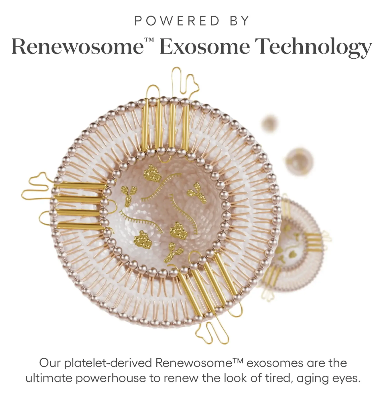 Plated Eye Exosome Serum